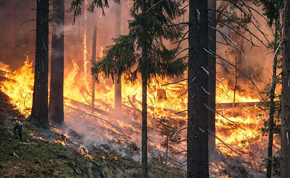 Süni intellektə meşə yanğınlarını tez zamanda müəyyənləşdirmək öyrədilib, Elm və Təhsil Nazirliyi, Elm ve Tehsil Nazirliyi, Azərbaycan Respublikası Elm və Təhsil Nazirliyi, Azerbaycan Respublikasi Elm ve Tehsil Nazirliyi, Elm və Ali Təhsil üzrə Dövlət Agentliyi, Elm və Ali Təhsil, AMEA, Azərbaycan Milli Elmlər Akademiyası, Elmler Akademiyasi, İnformasiya Texnologiyaları İnstitutu, İnformasiya Texnologiyaları, AMEA ITI, AMEA İTİ, İTİ, ITI, ikt.az, ict.az, ict, ikt, www.ict.az, www.ikt.az, Rasim Aliguliyev, Rasim Əliquliyev, RM Əliquliyev, Əliquliyev Rasim, Academician Rasim Aliguliyev