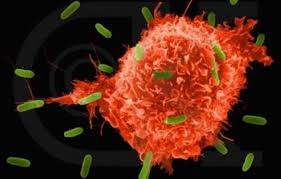 “Google” xərçəngin ilkin diaqnostikası texnologiyasını təqdim edib, Elm və Təhsil Nazirliyi, Elm ve Tehsil Nazirliyi, Azərbaycan Respublikası Elm və Təhsil Nazirliyi, Azerbaycan Respublikasi Elm ve Tehsil Nazirliyi, Elm və Ali Təhsil üzrə Dövlət Agentliyi, Elm və Ali Təhsil, AMEA, Azərbaycan Milli Elmlər Akademiyası, Elmler Akademiyasi, İnformasiya Texnologiyaları İnstitutu, İnformasiya Texnologiyaları, AMEA ITI, AMEA İTİ, İTİ, ITI, ikt.az, ict.az, ict, ikt, www.ict.az, www.ikt.az, Rasim Aliguliyev, Rasim Əliquliyev, RM Əliquliyev, Əliquliyev Rasim, Academician Rasim Aliguliyev