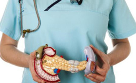 Süni mədəaltı vəz yaradılıb, Elm və Təhsil Nazirliyi, Elm ve Tehsil Nazirliyi, Azərbaycan Respublikası Elm və Təhsil Nazirliyi, Azerbaycan Respublikasi Elm ve Tehsil Nazirliyi, Elm və Ali Təhsil üzrə Dövlət Agentliyi, Elm və Ali Təhsil, AMEA, Azərbaycan Milli Elmlər Akademiyası, Elmler Akademiyasi, İnformasiya Texnologiyaları İnstitutu, İnformasiya Texnologiyaları, AMEA ITI, AMEA İTİ, İTİ, ITI, ikt.az, ict.az, ict, ikt, www.ict.az, www.ikt.az, Rasim Aliguliyev, Rasim Əliquliyev, RM Əliquliyev, Əliquliyev Rasim, Academician Rasim Aliguliyev