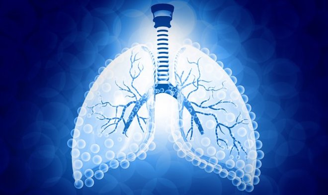 Suyu yanacağa çevirən “süni ağciyərlər”, Elm və Təhsil Nazirliyi, Elm ve Tehsil Nazirliyi, Azərbaycan Respublikası Elm və Təhsil Nazirliyi, Azerbaycan Respublikasi Elm ve Tehsil Nazirliyi, Elm və Ali Təhsil üzrə Dövlət Agentliyi, Elm və Ali Təhsil, AMEA, Azərbaycan Milli Elmlər Akademiyası, Elmler Akademiyasi, İnformasiya Texnologiyaları İnstitutu, İnformasiya Texnologiyaları, AMEA ITI, AMEA İTİ, İTİ, ITI, ikt.az, ict.az, ict, ikt, www.ict.az, www.ikt.az, Rasim Aliguliyev, Rasim Əliquliyev, RM Əliquliyev, Əliquliyev Rasim, Academician Rasim Aliguliyev