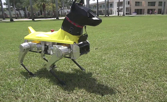Süni intellektə malik olan robot it yaradıldı, Elm və Təhsil Nazirliyi, Elm ve Tehsil Nazirliyi, Azərbaycan Respublikası Elm və Təhsil Nazirliyi, Azerbaycan Respublikasi Elm ve Tehsil Nazirliyi, Elm və Ali Təhsil üzrə Dövlət Agentliyi, Elm və Ali Təhsil, AMEA, Azərbaycan Milli Elmlər Akademiyası, Elmler Akademiyasi, İnformasiya Texnologiyaları İnstitutu, İnformasiya Texnologiyaları, AMEA ITI, AMEA İTİ, İTİ, ITI, ikt.az, ict.az, ict, ikt, www.ict.az, www.ikt.az, Rasim Aliguliyev, Rasim Əliquliyev, RM Əliquliyev, Əliquliyev Rasim, Academician Rasim Aliguliyev