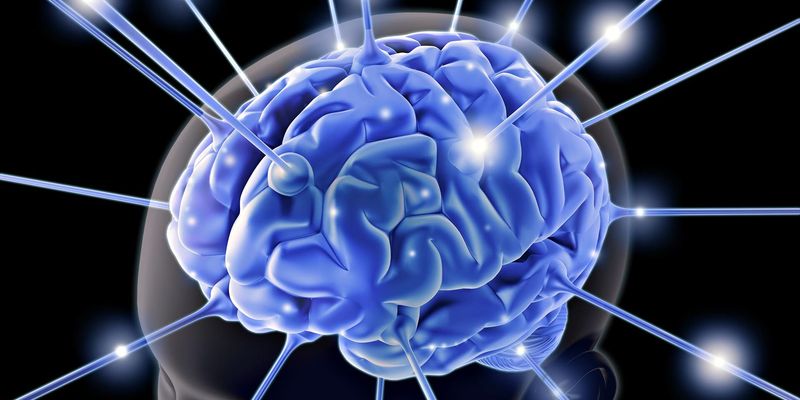 Beyində quraşdırılan implant skleroz xəstələrinə kömək edəcək, Elm və Təhsil Nazirliyi, Elm ve Tehsil Nazirliyi, Azərbaycan Respublikası Elm və Təhsil Nazirliyi, Azerbaycan Respublikasi Elm ve Tehsil Nazirliyi, Elm və Ali Təhsil üzrə Dövlət Agentliyi, Elm və Ali Təhsil, AMEA, Azərbaycan Milli Elmlər Akademiyası, Elmler Akademiyasi, İnformasiya Texnologiyaları İnstitutu, İnformasiya Texnologiyaları, AMEA ITI, AMEA İTİ, İTİ, ITI, ikt.az, ict.az, ict, ikt, www.ict.az, www.ikt.az, Rasim Aliguliyev, Rasim Əliquliyev, RM Əliquliyev, Əliquliyev Rasim, Academician Rasim Aliguliyev