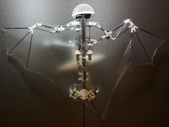 Scientists unveil robot that flies just like a bat