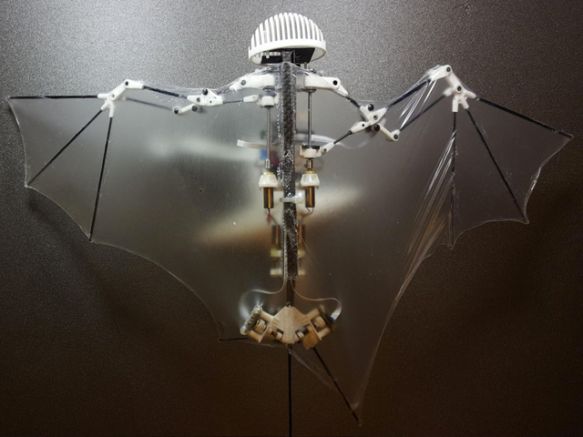 Yarasa-robot təqdim olunub, Elm və Təhsil Nazirliyi, Elm ve Tehsil Nazirliyi, Azərbaycan Respublikası Elm və Təhsil Nazirliyi, Azerbaycan Respublikasi Elm ve Tehsil Nazirliyi, Elm və Ali Təhsil üzrə Dövlət Agentliyi, Elm və Ali Təhsil, AMEA, Azərbaycan Milli Elmlər Akademiyası, Elmler Akademiyasi, İnformasiya Texnologiyaları İnstitutu, İnformasiya Texnologiyaları, AMEA ITI, AMEA İTİ, İTİ, ITI, ikt.az, ict.az, ict, ikt, www.ict.az, www.ikt.az, Rasim Aliguliyev, Rasim Əliquliyev, RM Əliquliyev, Əliquliyev Rasim, Academician Rasim Aliguliyev