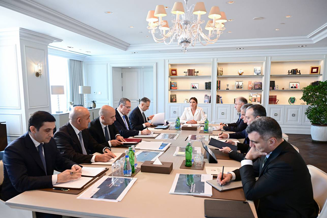 Birinci vitse-prezident Mehriban Əliyevanın sədrliyi ilə Rəqəmsal İnkişaf Şurasının ilk iclası keçirilib,