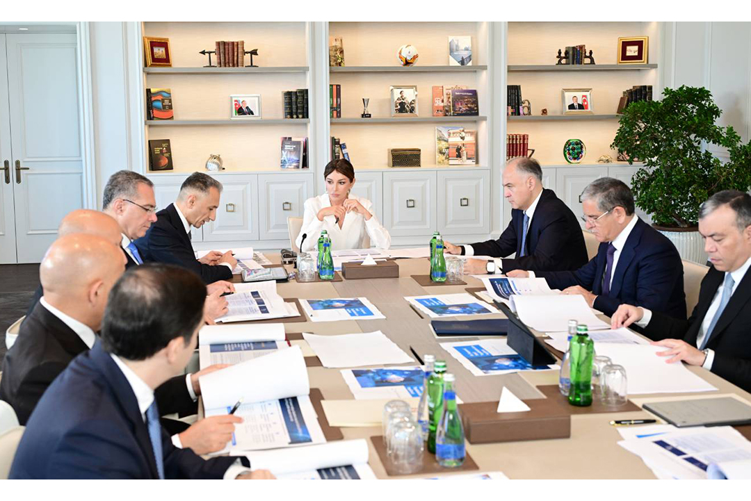 Birinci vitse-prezident Mehriban Əliyevanın sədrliyi ilə Rəqəmsal İnkişaf Şurasının ilk iclası keçirilib,
