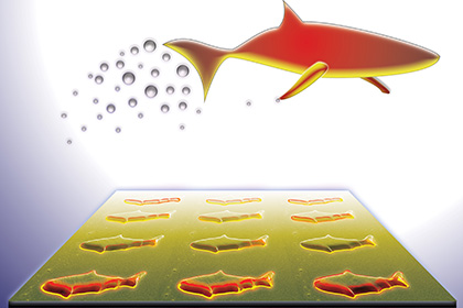 US scientists have "taught" nanofish to swim