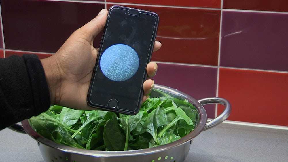 Smartphones are taught to detect bacteria in food