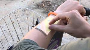 Qeyri-adi qolbaq sahibinin qolunda smartfonun ekranının əks olunmasına imkan verəcək, Elm və Təhsil Nazirliyi, Elm ve Tehsil Nazirliyi, Azərbaycan Respublikası Elm və Təhsil Nazirliyi, Azerbaycan Respublikasi Elm ve Tehsil Nazirliyi, Elm və Ali Təhsil üzrə Dövlət Agentliyi, Elm və Ali Təhsil, AMEA, Azərbaycan Milli Elmlər Akademiyası, Elmler Akademiyasi, İnformasiya Texnologiyaları İnstitutu, İnformasiya Texnologiyaları, AMEA ITI, AMEA İTİ, İTİ, ITI, ikt.az, ict.az, ict, ikt, www.ict.az, www.ikt.az, Rasim Aliguliyev, Rasim Əliquliyev, RM Əliquliyev, Əliquliyev Rasim, Academician Rasim Aliguliyev