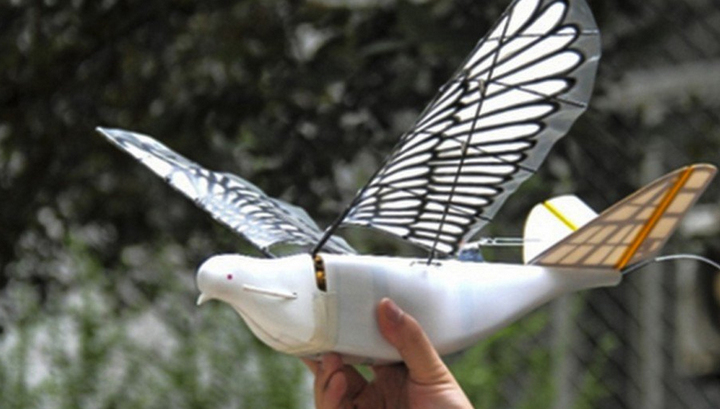 Çində dron-quşlardan istifadə olunacaq, Elm və Təhsil Nazirliyi, Elm ve Tehsil Nazirliyi, Azərbaycan Respublikası Elm və Təhsil Nazirliyi, Azerbaycan Respublikasi Elm ve Tehsil Nazirliyi, Elm və Ali Təhsil üzrə Dövlət Agentliyi, Elm və Ali Təhsil, AMEA, Azərbaycan Milli Elmlər Akademiyası, Elmler Akademiyasi, İnformasiya Texnologiyaları İnstitutu, İnformasiya Texnologiyaları, AMEA ITI, AMEA İTİ, İTİ, ITI, ikt.az, ict.az, ict, ikt, www.ict.az, www.ikt.az, Rasim Aliguliyev, Rasim Əliquliyev, RM Əliquliyev, Əliquliyev Rasim, Academician Rasim Aliguliyev