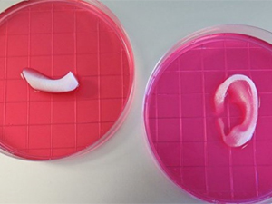 Alimlər insan sümükləri və əzələlərinin çapı üçün 3D-printer yaradıblar, Elm və Təhsil Nazirliyi, Elm ve Tehsil Nazirliyi, Azərbaycan Respublikası Elm və Təhsil Nazirliyi, Azerbaycan Respublikasi Elm ve Tehsil Nazirliyi, Elm və Ali Təhsil üzrə Dövlət Agentliyi, Elm və Ali Təhsil, AMEA, Azərbaycan Milli Elmlər Akademiyası, Elmler Akademiyasi, İnformasiya Texnologiyaları İnstitutu, İnformasiya Texnologiyaları, AMEA ITI, AMEA İTİ, İTİ, ITI, ikt.az, ict.az, ict, ikt, www.ict.az, www.ikt.az, Rasim Aliguliyev, Rasim Əliquliyev, RM Əliquliyev, Əliquliyev Rasim, Academician Rasim Aliguliyev