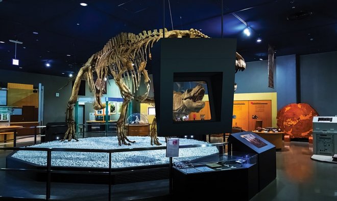 Yeni ekran xüsusi eynək olmadan əlavə reallıq yaradır, Elm və Təhsil Nazirliyi, Elm ve Tehsil Nazirliyi, Azərbaycan Respublikası Elm və Təhsil Nazirliyi, Azerbaycan Respublikasi Elm ve Tehsil Nazirliyi, Elm və Ali Təhsil üzrə Dövlət Agentliyi, Elm və Ali Təhsil, AMEA, Azərbaycan Milli Elmlər Akademiyası, Elmler Akademiyasi, İnformasiya Texnologiyaları İnstitutu, İnformasiya Texnologiyaları, AMEA ITI, AMEA İTİ, İTİ, ITI, ikt.az, ict.az, ict, ikt, www.ict.az, www.ikt.az, Rasim Aliguliyev, Rasim Əliquliyev, RM Əliquliyev, Əliquliyev Rasim, Academician Rasim Aliguliyev