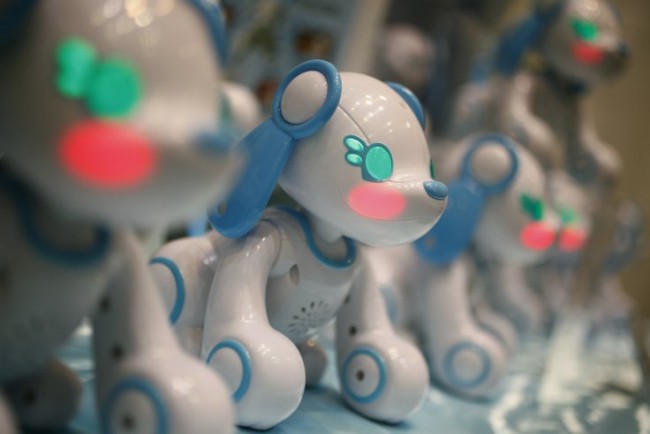 Ev heyvanlarını robotlar əvəz edəcək, Elm və Təhsil Nazirliyi, Elm ve Tehsil Nazirliyi, Azərbaycan Respublikası Elm və Təhsil Nazirliyi, Azerbaycan Respublikasi Elm ve Tehsil Nazirliyi, Elm və Ali Təhsil üzrə Dövlət Agentliyi, Elm və Ali Təhsil, AMEA, Azərbaycan Milli Elmlər Akademiyası, Elmler Akademiyasi, İnformasiya Texnologiyaları İnstitutu, İnformasiya Texnologiyaları, AMEA ITI, AMEA İTİ, İTİ, ITI, ikt.az, ict.az, ict, ikt, www.ict.az, www.ikt.az, Rasim Aliguliyev, Rasim Əliquliyev, RM Əliquliyev, Əliquliyev Rasim, Academician Rasim Aliguliyev
