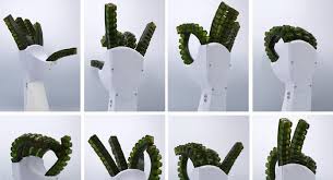 Ağrını hiss edən və özünü bərpa edən robot əl hazırlanıb, Elm və Təhsil Nazirliyi, Elm ve Tehsil Nazirliyi, Azərbaycan Respublikası Elm və Təhsil Nazirliyi, Azerbaycan Respublikasi Elm ve Tehsil Nazirliyi, Elm və Ali Təhsil üzrə Dövlət Agentliyi, Elm və Ali Təhsil, AMEA, Azərbaycan Milli Elmlər Akademiyası, Elmler Akademiyasi, İnformasiya Texnologiyaları İnstitutu, İnformasiya Texnologiyaları, AMEA ITI, AMEA İTİ, İTİ, ITI, ikt.az, ict.az, ict, ikt, www.ict.az, www.ikt.az, Rasim Aliguliyev, Rasim Əliquliyev, RM Əliquliyev, Əliquliyev Rasim, Academician Rasim Aliguliyev