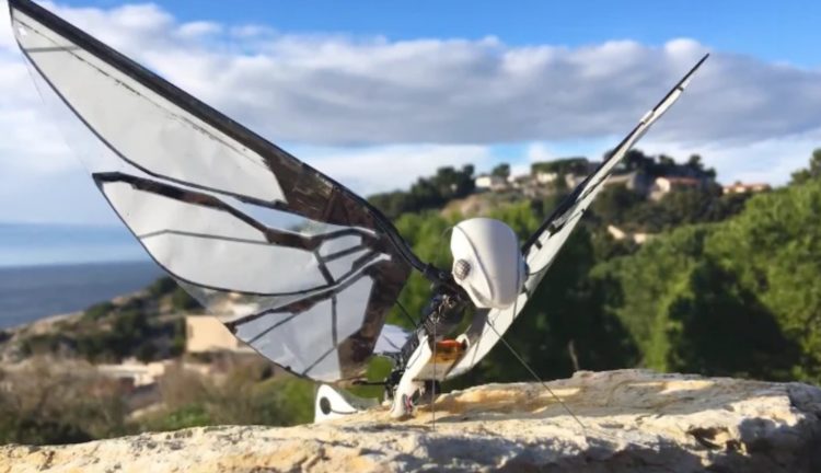 This robot is almost indistinguishable from live insects