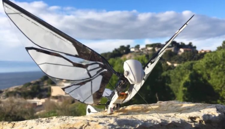 Canlı həşəratlardan fərqlənməyən robot, Elm və Təhsil Nazirliyi, Elm ve Tehsil Nazirliyi, Azərbaycan Respublikası Elm və Təhsil Nazirliyi, Azerbaycan Respublikasi Elm ve Tehsil Nazirliyi, Elm və Ali Təhsil üzrə Dövlət Agentliyi, Elm və Ali Təhsil, AMEA, Azərbaycan Milli Elmlər Akademiyası, Elmler Akademiyasi, İnformasiya Texnologiyaları İnstitutu, İnformasiya Texnologiyaları, AMEA ITI, AMEA İTİ, İTİ, ITI, ikt.az, ict.az, ict, ikt, www.ict.az, www.ikt.az, Rasim Aliguliyev, Rasim Əliquliyev, RM Əliquliyev, Əliquliyev Rasim, Academician Rasim Aliguliyev
