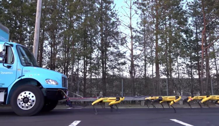 Роботы SpotMini от Boston Dynamics тянут за собой огромный грузовик