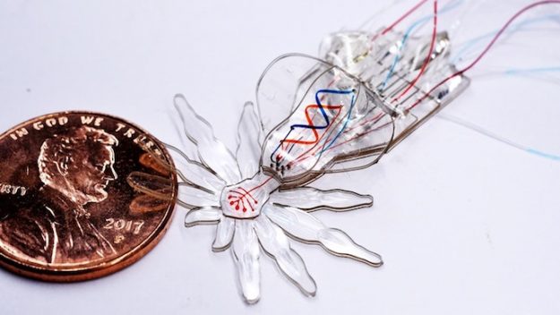 Engineers created a soft spider robot for medicine