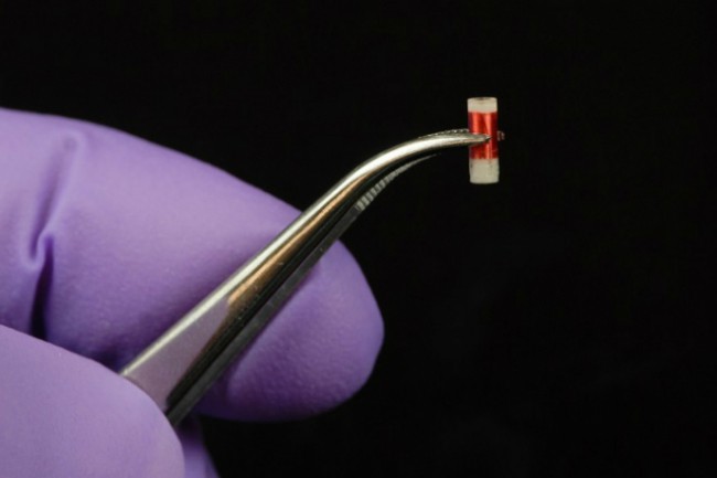 Kiçik implantat real vaxt rejimində xərçəng xəstəliyinin müalicəsinin gedişatını izləməyə imkan verir, Elm və Təhsil Nazirliyi, Elm ve Tehsil Nazirliyi, Azərbaycan Respublikası Elm və Təhsil Nazirliyi, Azerbaycan Respublikasi Elm ve Tehsil Nazirliyi, Elm və Ali Təhsil üzrə Dövlət Agentliyi, Elm və Ali Təhsil, AMEA, Azərbaycan Milli Elmlər Akademiyası, Elmler Akademiyasi, İnformasiya Texnologiyaları İnstitutu, İnformasiya Texnologiyaları, AMEA ITI, AMEA İTİ, İTİ, ITI, ikt.az, ict.az, ict, ikt, www.ict.az, www.ikt.az, Rasim Aliguliyev, Rasim Əliquliyev, RM Əliquliyev, Əliquliyev Rasim, Academician Rasim Aliguliyev