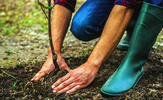 Bitkinin inkişaf prosesini müəyyən edən sinir şəbəkələri hazırlanıb, Elm və Təhsil Nazirliyi, Elm ve Tehsil Nazirliyi, Azərbaycan Respublikası Elm və Təhsil Nazirliyi, Azerbaycan Respublikasi Elm ve Tehsil Nazirliyi, Elm və Ali Təhsil üzrə Dövlət Agentliyi, Elm və Ali Təhsil, AMEA, Azərbaycan Milli Elmlər Akademiyası, Elmler Akademiyasi, İnformasiya Texnologiyaları İnstitutu, İnformasiya Texnologiyaları, AMEA ITI, AMEA İTİ, İTİ, ITI, ikt.az, ict.az, ict, ikt, www.ict.az, www.ikt.az, Rasim Aliguliyev, Rasim Əliquliyev, RM Əliquliyev, Əliquliyev Rasim, Academician Rasim Aliguliyev