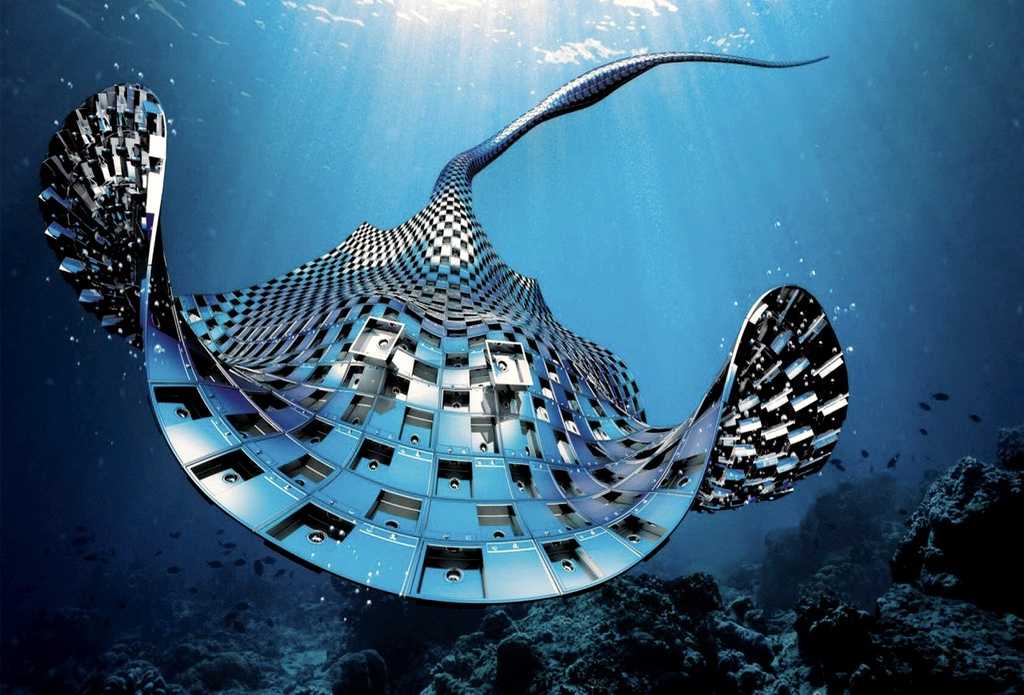 Yumşaq robot-skat hazırlanıb, Elm və Təhsil Nazirliyi, Elm ve Tehsil Nazirliyi, Azərbaycan Respublikası Elm və Təhsil Nazirliyi, Azerbaycan Respublikasi Elm ve Tehsil Nazirliyi, Elm və Ali Təhsil üzrə Dövlət Agentliyi, Elm və Ali Təhsil, AMEA, Azərbaycan Milli Elmlər Akademiyası, Elmler Akademiyasi, İnformasiya Texnologiyaları İnstitutu, İnformasiya Texnologiyaları, AMEA ITI, AMEA İTİ, İTİ, ITI, ikt.az, ict.az, ict, ikt, www.ict.az, www.ikt.az, Rasim Aliguliyev, Rasim Əliquliyev, RM Əliquliyev, Əliquliyev Rasim, Academician Rasim Aliguliyev