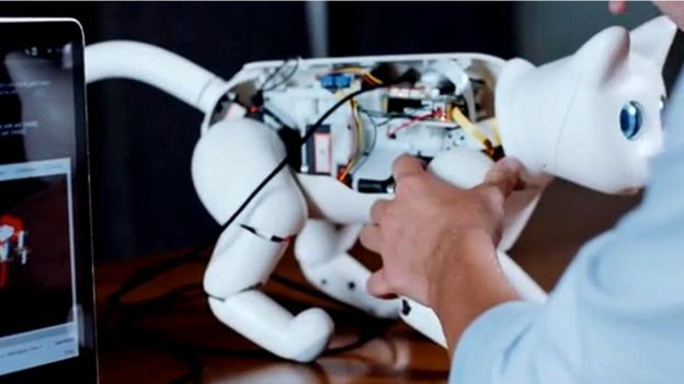На выставке «CES 2020» представлены роботы с искусственным интеллектом