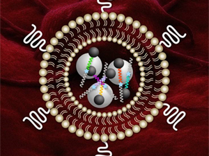 Yeni nanosensorlar xərçəng xəstəliyinin müalicəsində kömək edəcək, Elm və Təhsil Nazirliyi, Elm ve Tehsil Nazirliyi, Azərbaycan Respublikası Elm və Təhsil Nazirliyi, Azerbaycan Respublikasi Elm ve Tehsil Nazirliyi, Elm və Ali Təhsil üzrə Dövlət Agentliyi, Elm və Ali Təhsil, AMEA, Azərbaycan Milli Elmlər Akademiyası, Elmler Akademiyasi, İnformasiya Texnologiyaları İnstitutu, İnformasiya Texnologiyaları, AMEA ITI, AMEA İTİ, İTİ, ITI, ikt.az, ict.az, ict, ikt, www.ict.az, www.ikt.az, Rasim Aliguliyev, Rasim Əliquliyev, RM Əliquliyev, Əliquliyev Rasim, Academician Rasim Aliguliyev