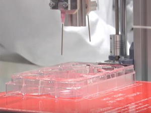Human skin made on 3D printers using 'bio inks'