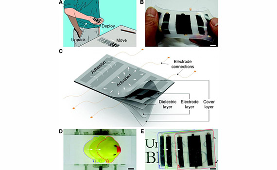 Süni dəridən cib robotu hazırlanıb, Elm və Təhsil Nazirliyi, Elm ve Tehsil Nazirliyi, Azərbaycan Respublikası Elm və Təhsil Nazirliyi, Azerbaycan Respublikasi Elm ve Tehsil Nazirliyi, Elm və Ali Təhsil üzrə Dövlət Agentliyi, Elm və Ali Təhsil, AMEA, Azərbaycan Milli Elmlər Akademiyası, Elmler Akademiyasi, İnformasiya Texnologiyaları İnstitutu, İnformasiya Texnologiyaları, AMEA ITI, AMEA İTİ, İTİ, ITI, ikt.az, ict.az, ict, ikt, www.ict.az, www.ikt.az, Rasim Aliguliyev, Rasim Əliquliyev, RM Əliquliyev, Əliquliyev Rasim, Academician Rasim Aliguliyev