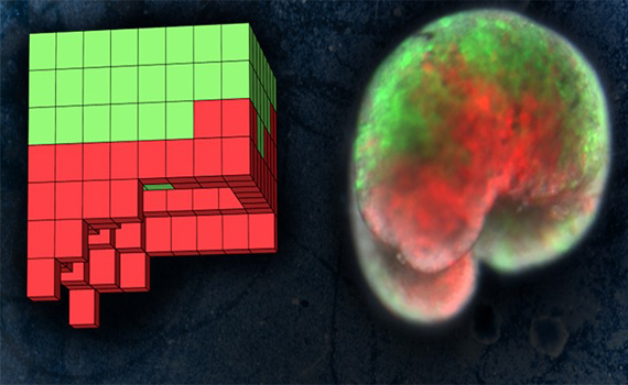 ABŞ-da ilk dəfə canlı robot yaradılıb, Elm və Təhsil Nazirliyi, Elm ve Tehsil Nazirliyi, Azərbaycan Respublikası Elm və Təhsil Nazirliyi, Azerbaycan Respublikasi Elm ve Tehsil Nazirliyi, Elm və Ali Təhsil üzrə Dövlət Agentliyi, Elm və Ali Təhsil, AMEA, Azərbaycan Milli Elmlər Akademiyası, Elmler Akademiyasi, İnformasiya Texnologiyaları İnstitutu, İnformasiya Texnologiyaları, AMEA ITI, AMEA İTİ, İTİ, ITI, ikt.az, ict.az, ict, ikt, www.ict.az, www.ikt.az, Rasim Aliguliyev, Rasim Əliquliyev, RM Əliquliyev, Əliquliyev Rasim, Academician Rasim Aliguliyev