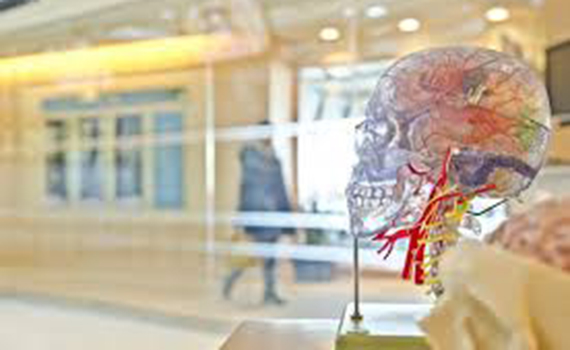 Süni intellekt epileptik tutmaları proqnozlaşdırmağı öyrənib, Elm və Təhsil Nazirliyi, Elm ve Tehsil Nazirliyi, Azərbaycan Respublikası Elm və Təhsil Nazirliyi, Azerbaycan Respublikasi Elm ve Tehsil Nazirliyi, Elm və Ali Təhsil üzrə Dövlət Agentliyi, Elm və Ali Təhsil, AMEA, Azərbaycan Milli Elmlər Akademiyası, Elmler Akademiyasi, İnformasiya Texnologiyaları İnstitutu, İnformasiya Texnologiyaları, AMEA ITI, AMEA İTİ, İTİ, ITI, ikt.az, ict.az, ict, ikt, www.ict.az, www.ikt.az, Rasim Aliguliyev, Rasim Əliquliyev, RM Əliquliyev, Əliquliyev Rasim, Academician Rasim Aliguliyev