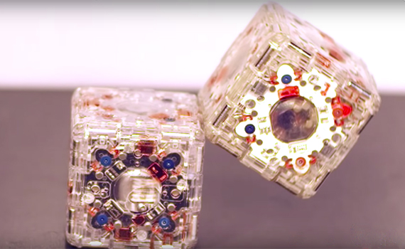 Kollektiv düşüncəli “M-Block 2.0” robotları hazırlanıb, Elm və Təhsil Nazirliyi, Elm ve Tehsil Nazirliyi, Azərbaycan Respublikası Elm və Təhsil Nazirliyi, Azerbaycan Respublikasi Elm ve Tehsil Nazirliyi, Elm və Ali Təhsil üzrə Dövlət Agentliyi, Elm və Ali Təhsil, AMEA, Azərbaycan Milli Elmlər Akademiyası, Elmler Akademiyasi, İnformasiya Texnologiyaları İnstitutu, İnformasiya Texnologiyaları, AMEA ITI, AMEA İTİ, İTİ, ITI, ikt.az, ict.az, ict, ikt, www.ict.az, www.ikt.az, Rasim Aliguliyev, Rasim Əliquliyev, RM Əliquliyev, Əliquliyev Rasim, Academician Rasim Aliguliyev