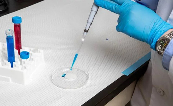 Bakteriya və virusların yapışa bilməyəcəyi səth hazırlanıb, Elm və Təhsil Nazirliyi, Elm ve Tehsil Nazirliyi, Azərbaycan Respublikası Elm və Təhsil Nazirliyi, Azerbaycan Respublikasi Elm ve Tehsil Nazirliyi, Elm və Ali Təhsil üzrə Dövlət Agentliyi, Elm və Ali Təhsil, AMEA, Azərbaycan Milli Elmlər Akademiyası, Elmler Akademiyasi, İnformasiya Texnologiyaları İnstitutu, İnformasiya Texnologiyaları, AMEA ITI, AMEA İTİ, İTİ, ITI, ikt.az, ict.az, ict, ikt, www.ict.az, www.ikt.az, Rasim Aliguliyev, Rasim Əliquliyev, RM Əliquliyev, Əliquliyev Rasim, Academician Rasim Aliguliyev